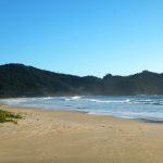 IMG-20260710-WA0008